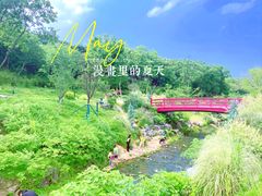 -羊山湖公园
