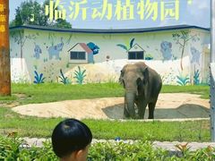 -临沂动植物园
