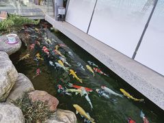 -贵阳高新惠诚食品有限公司