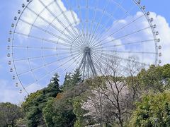 -蠡湖大桥公园
