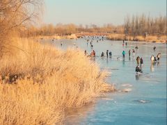-马家湾湿地公园
