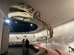 -自贡恐龙博物馆