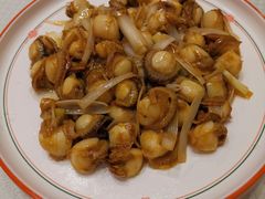 辣炒小扇贝-双井轩(双井店)