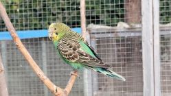 -萌宠亲子动物乐园(槐房万达店)