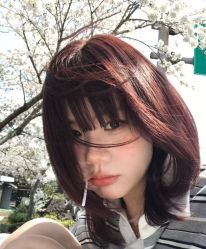 -YESIDO椰岛造型