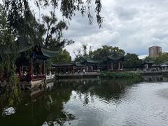 -MAP CHA普洱茶馆(翠湖店)