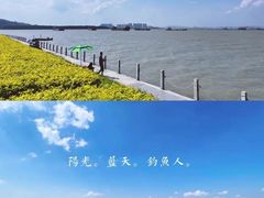 -海鸥岛