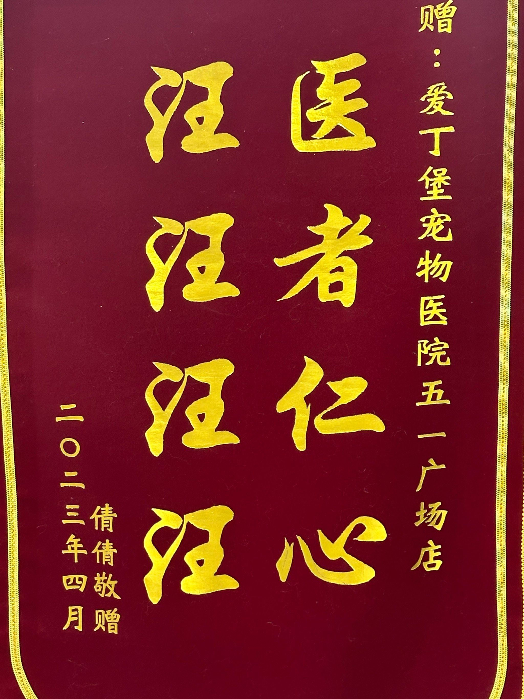 很温暖的宠物医院