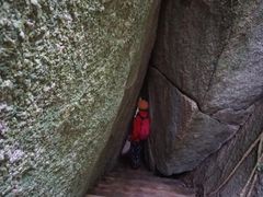 -海南霸王岭国家森林公园