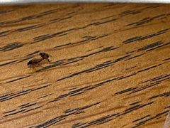 -OUR Bakery(SKP-S店)