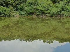 -番禺大夫山森林公园