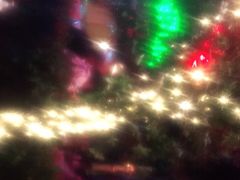 -肉串汪(望京店)