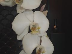 -上海璞麗酒店