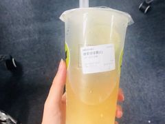 -黑龙茶HEYLONGCHA