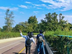 -白鹭湾湿地公园