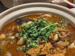 -杨氏青龙虾·羊蝎子(托乐嘉店)