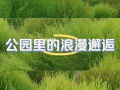 -东郊湿地公园