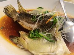 -汤臣·空中餐厅·严选粤菜(石湾世博广场店)