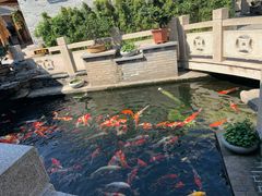 -顺德了能馆(虎门店)