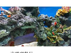 -御唐府海珊瑚主题餐厅