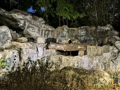 -清迈夜间动物园