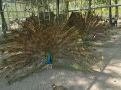 -大连铭湖国际观光牧场