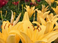 -长春公园(普阳街道)