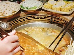 -蜀大侠火锅(森兰花园城店)