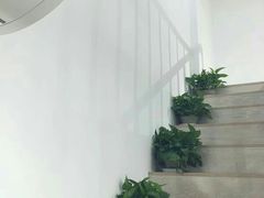 -风格style 专业烫染
