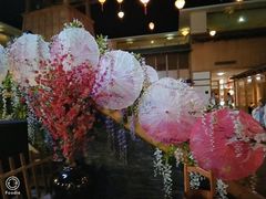 -嘉佑温泉水世界