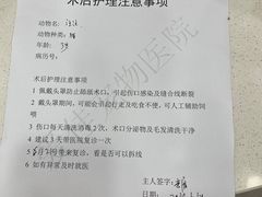 -爱佳宠物中心医院24H·CT·骨外科·猫专科(瑶海万达店)