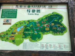 -西双版纳原始森林公园
