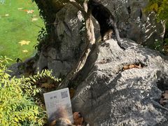 -静安公园(静安寺街道)