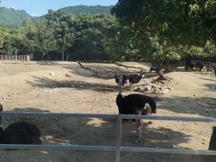 -西安秦岭野生动物园