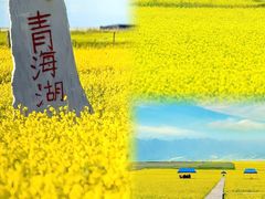 -青海湖国家重点风景名胜区