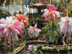 -正佳雨林生态植物园