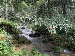 -梅岭神龙潭