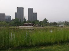 -西海子公园