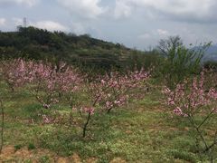 -许家山