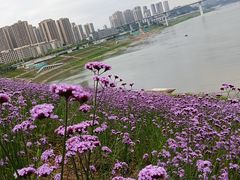 -石井坡(地铁站)