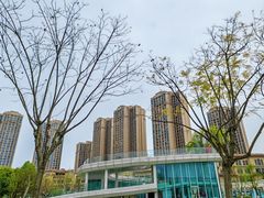 -府河摄影公园