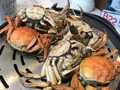 -半岛听涛蒸汽海鲜自助(K11店)