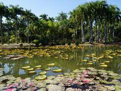 -中国科学院西双版纳热带植物园