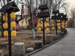 -大槐树寻根祭祖园