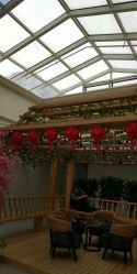 点击看大图 -添囍月子会所