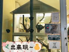 -龙猫仔乐园(惠福东路店)