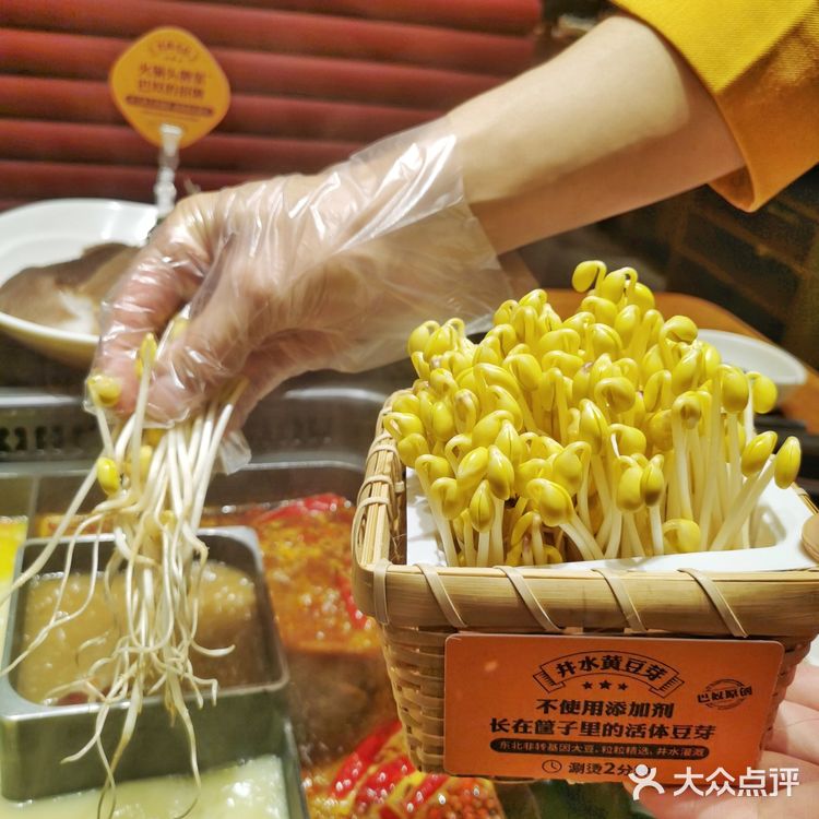 解密上海美食人气王巴奴毛肚火锅