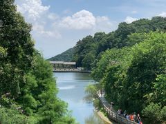 -广州市帽峰山景区