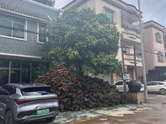 -松涛居·荔枝柴烧鹅(三墩总店)