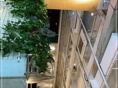 -同仁四季椰子鸡(福田东园总店)